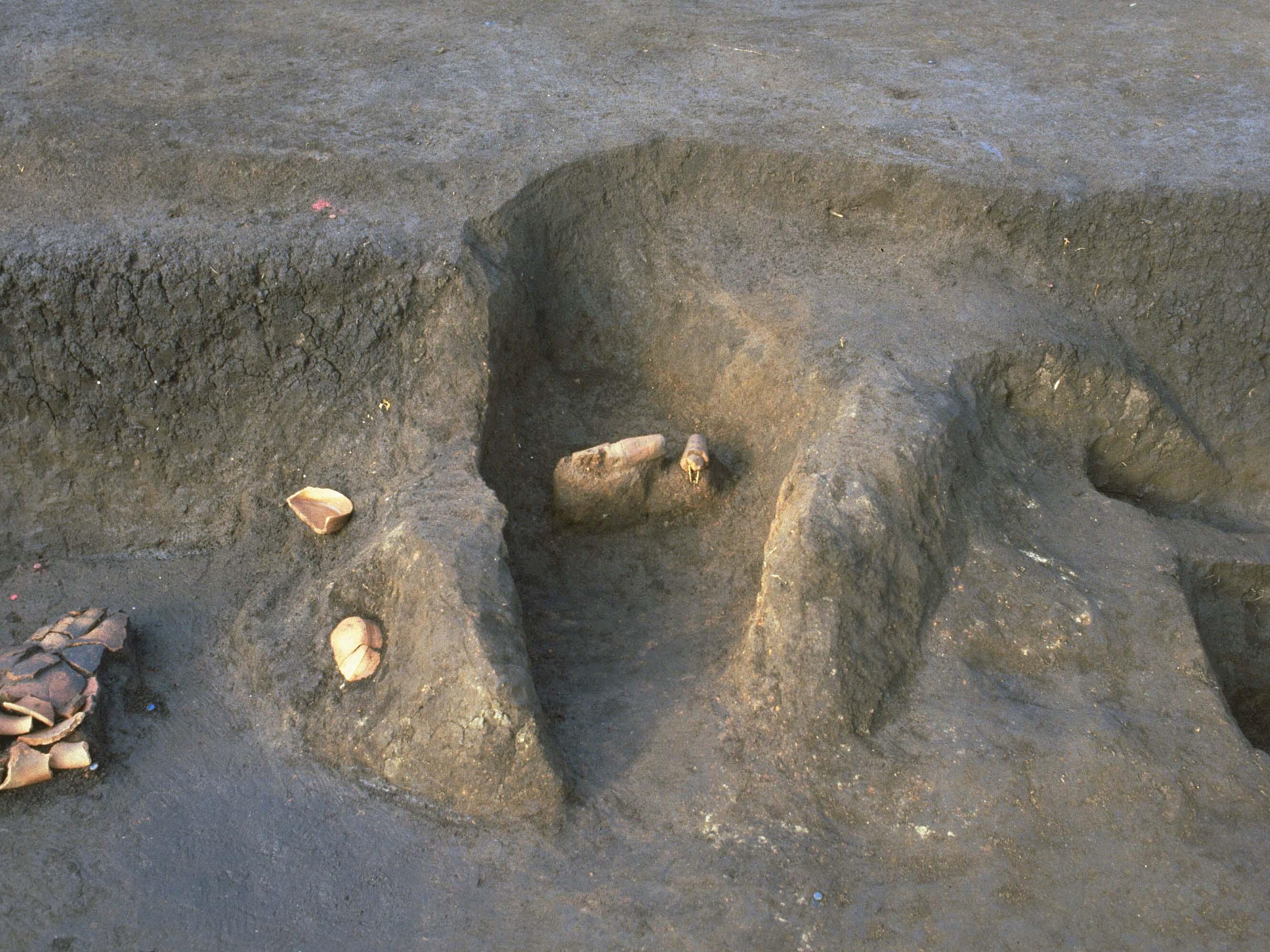東京都埋蔵文化財センター | イベント・教室 | 東京都埋蔵文化財センター